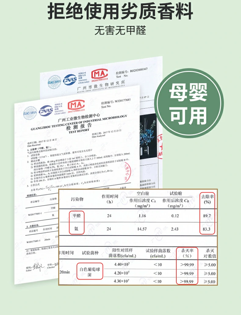 5 (5).webp