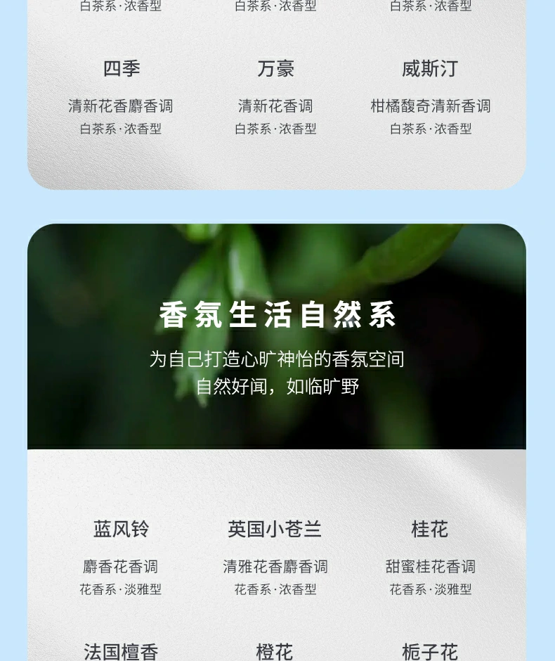 7 (22).webp