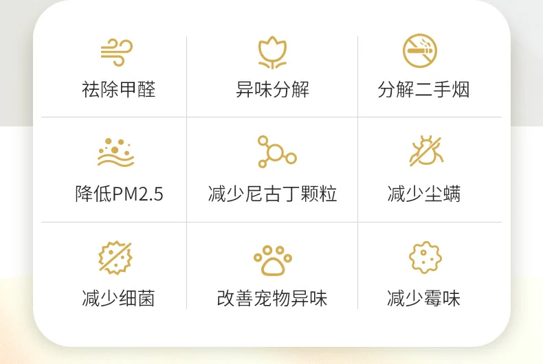 9 (3).webp