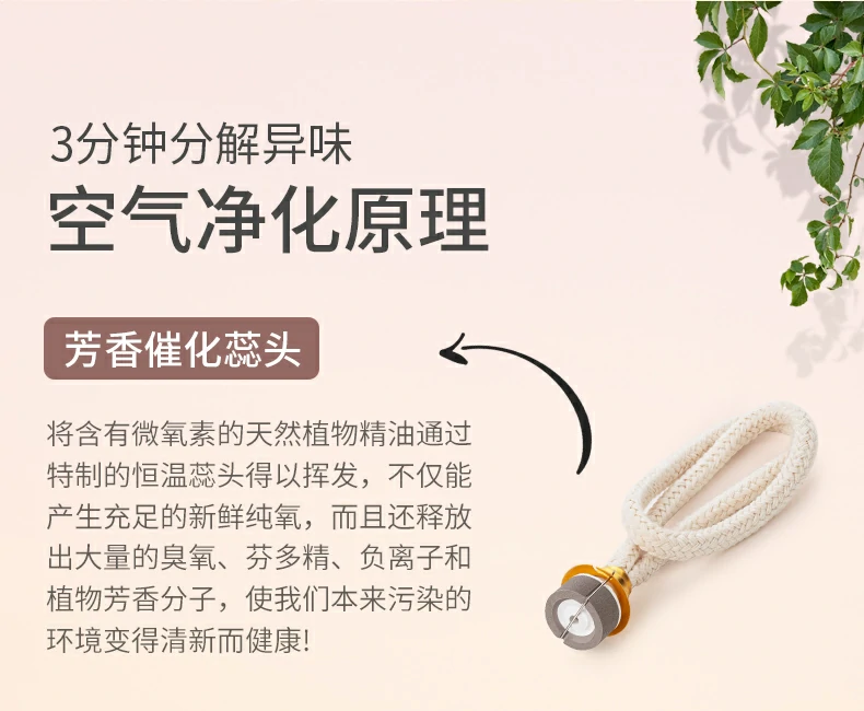 9 (6).webp